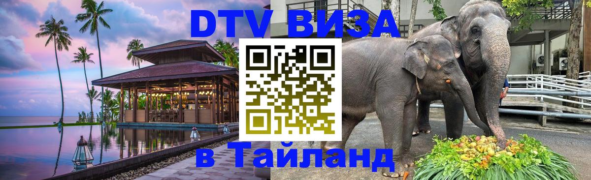 ДТВ VISA Тайланд для фрилансеров Сан-Хосе 